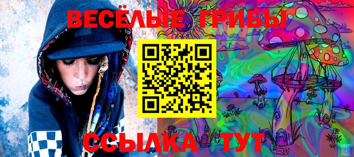 Галлюциногенные грибы Cubensis Сокол