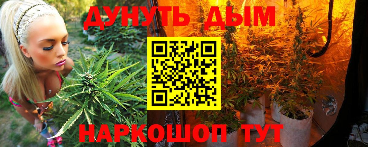 Шишки марихуана сатива  Вход с VPN  Марихуана индика  Сокол  МАРИХУАНА White Widow 